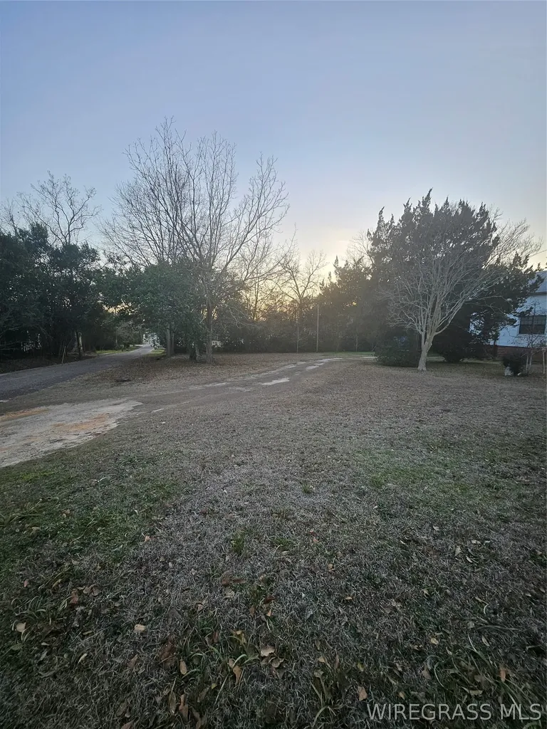 22718 7th Avenue Florala AL 36442