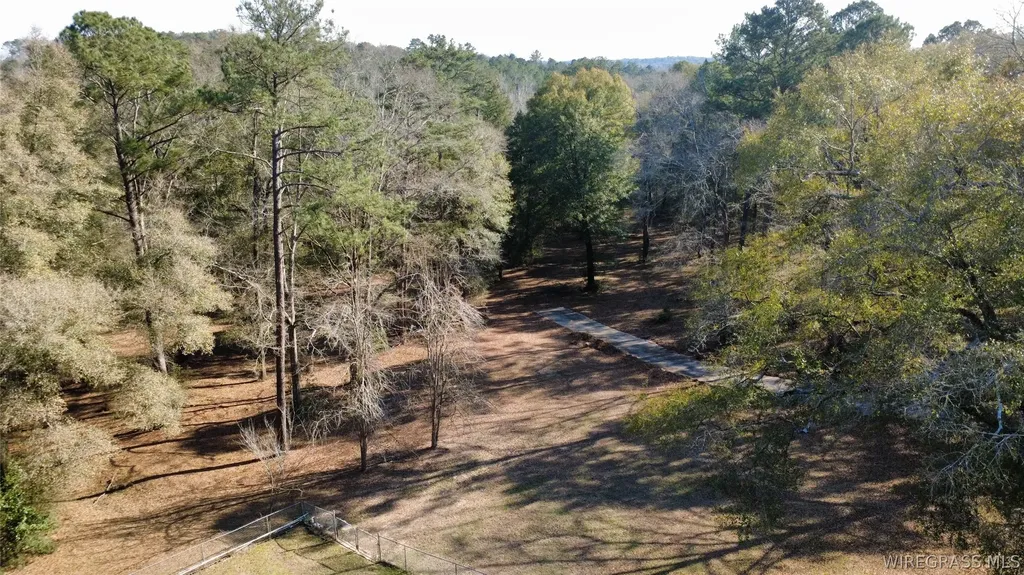 1425 Lakeview Road Ozark AL 36360