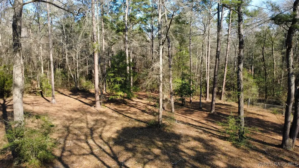1425 Lakeview Road Ozark AL 36360