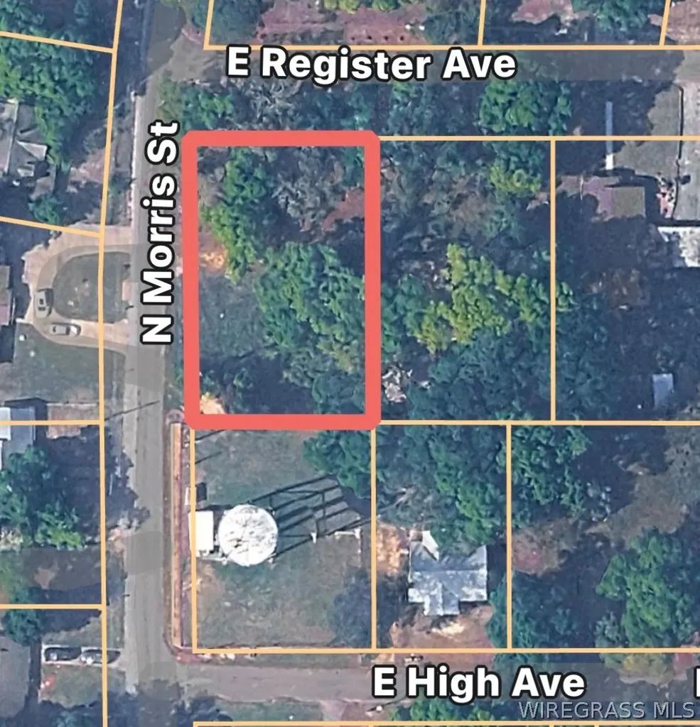 0 Morris Street Geneva AL 36340