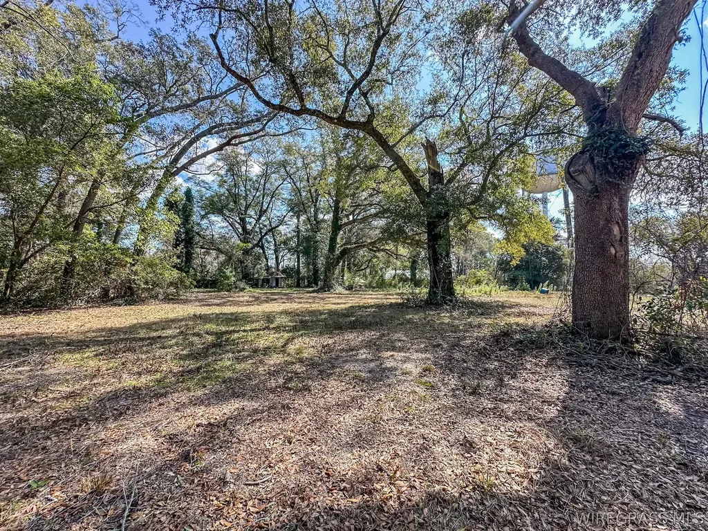 0 Morris Street Geneva AL 36340