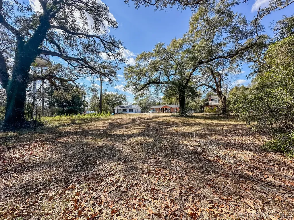 0 Morris Street Geneva AL 36340