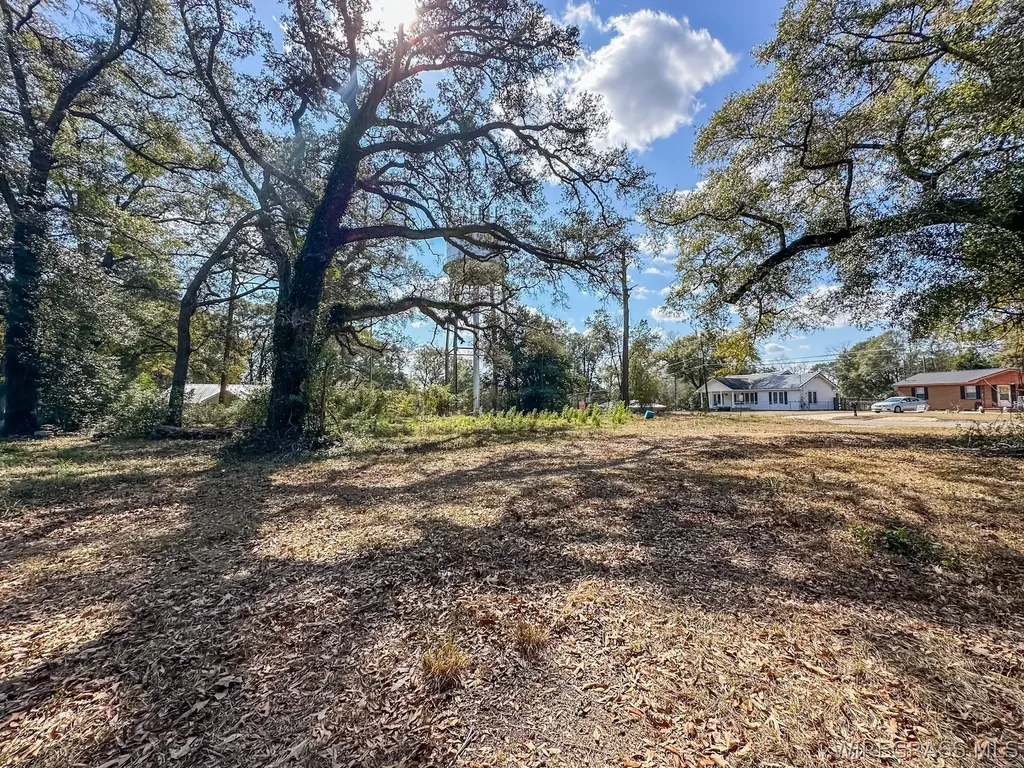 0 Morris Street Geneva AL 36340