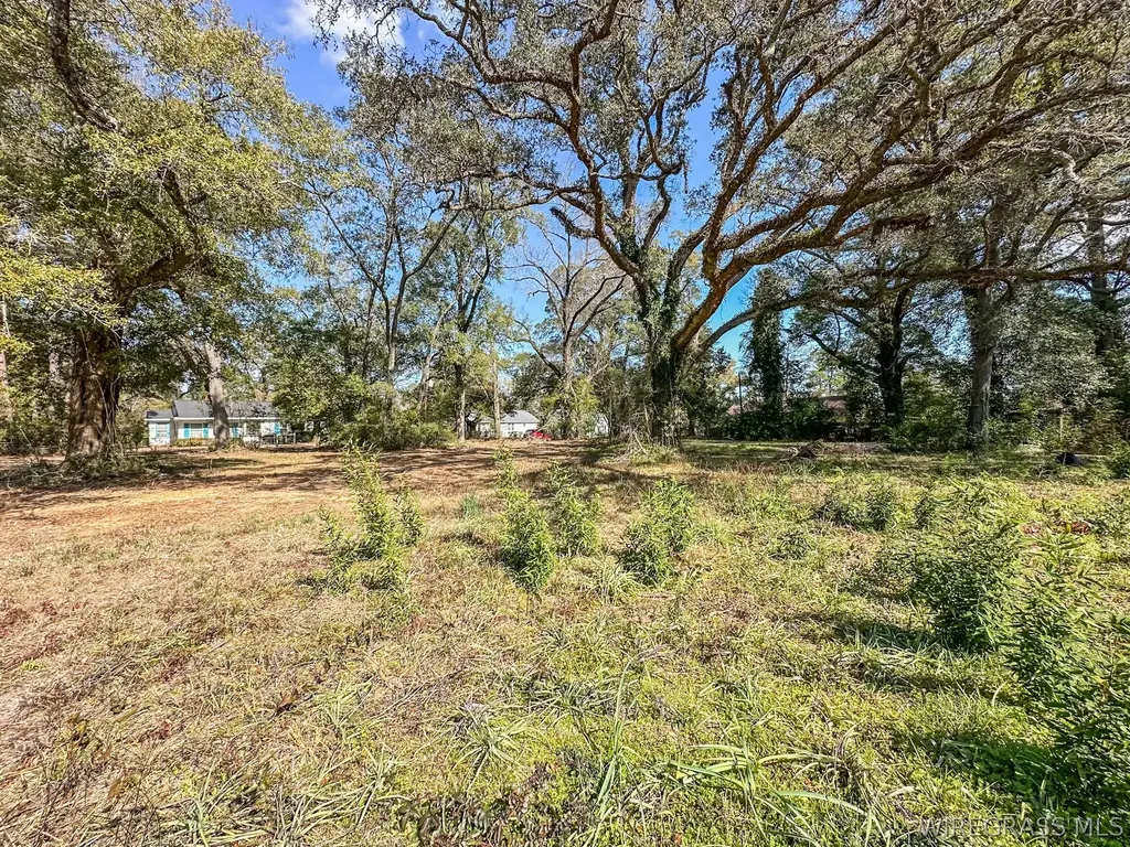 0 Morris Street Geneva AL 36340