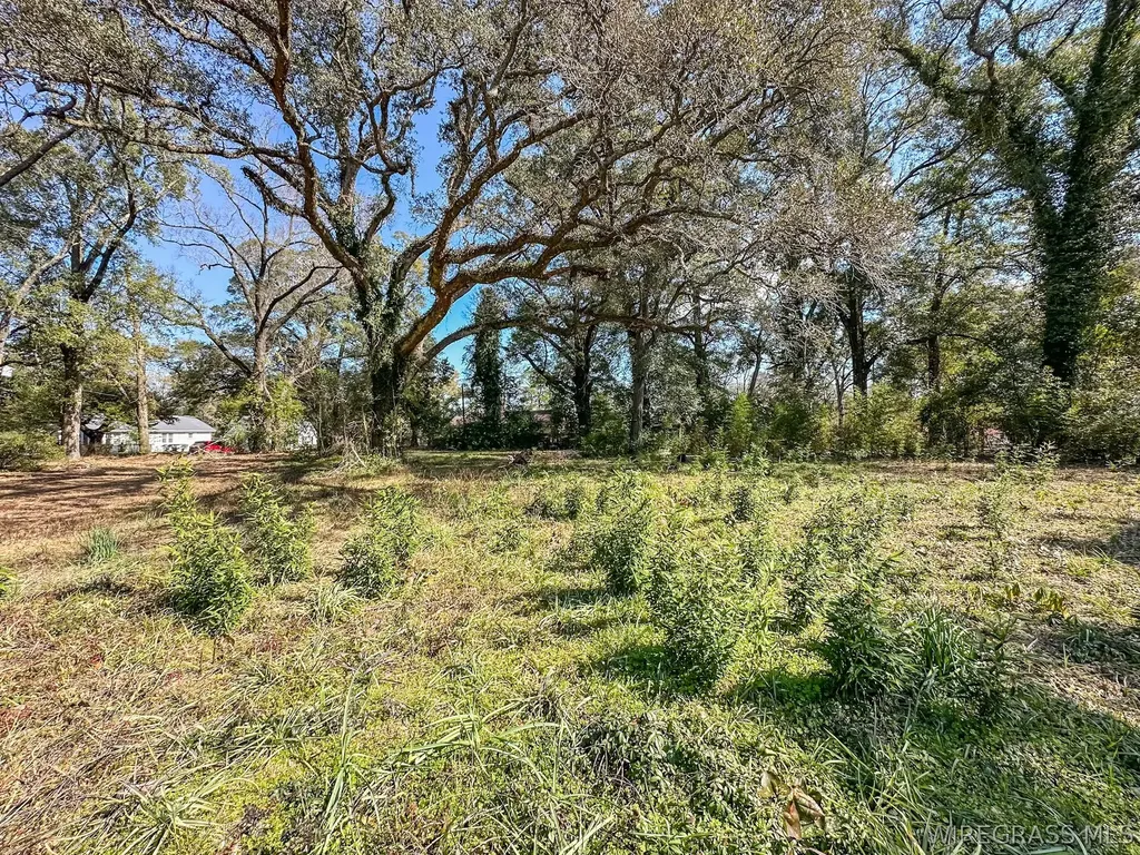 0 Morris Street Geneva AL 36340