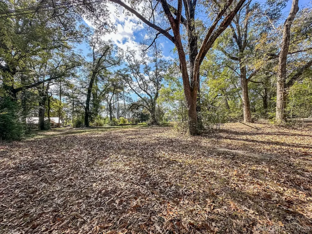 104 E Register Avenue Geneva AL 36340