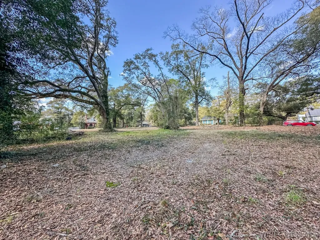 104 E Register Avenue Geneva AL 36340