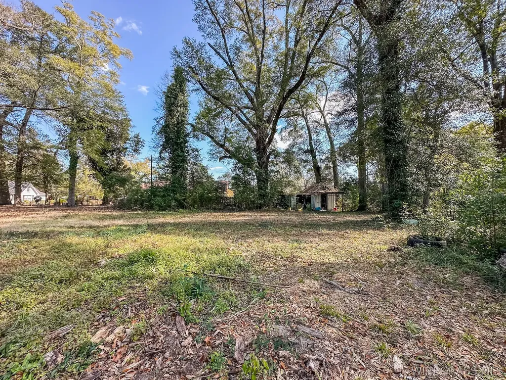 104 E Register Avenue Geneva AL 36340