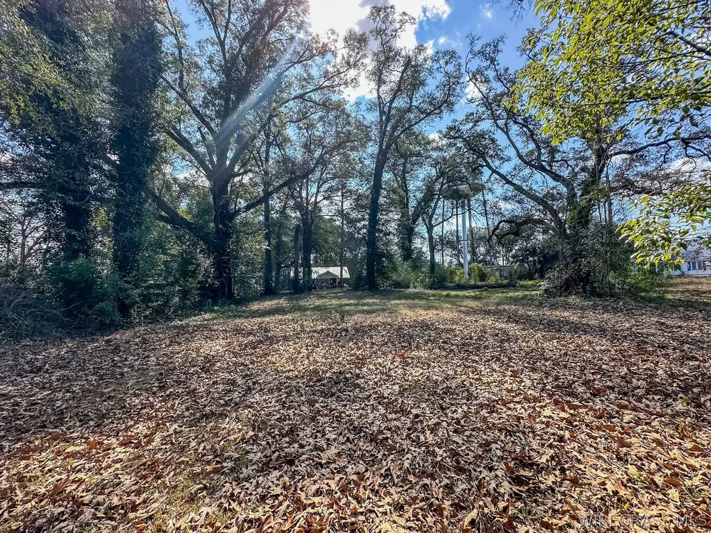 104 E Register Avenue Geneva AL 36340