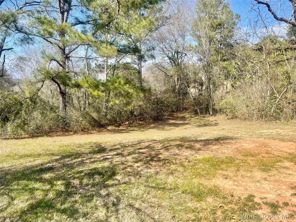 107 County Road 128 Jack AL 36346