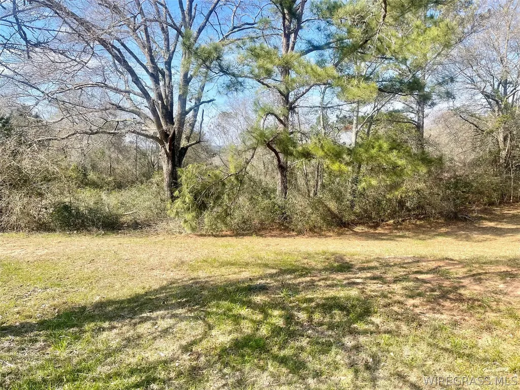 107 County Road 128 Jack AL 36346