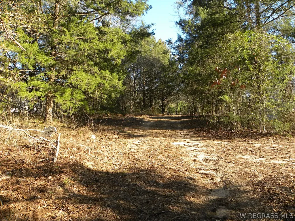 8369 County Road 54 Skipperville AL 36374