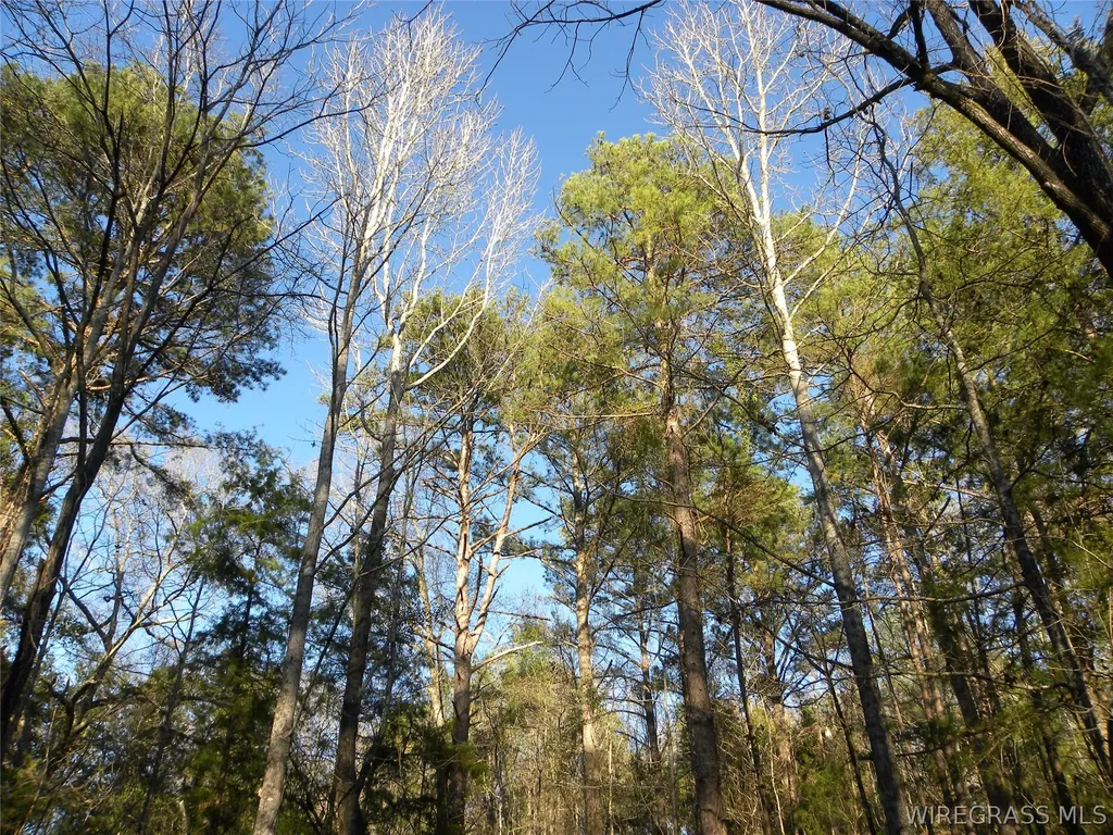 8369 County Road 54 Skipperville AL 36374