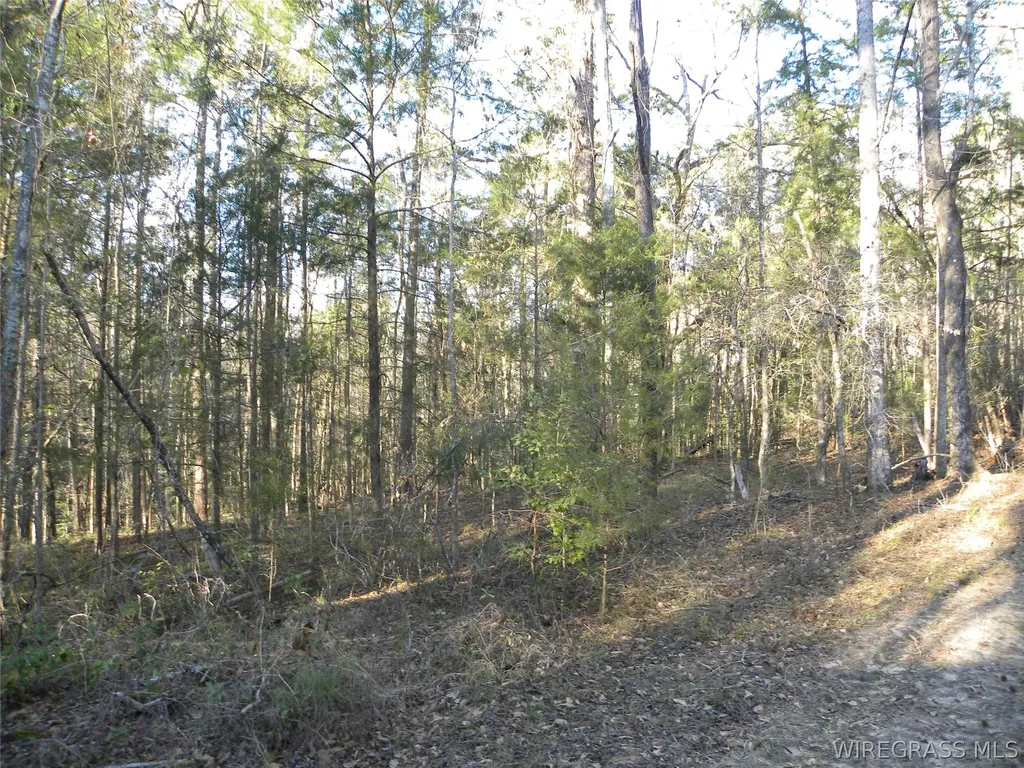 8369 County Road 54 Skipperville AL 36374