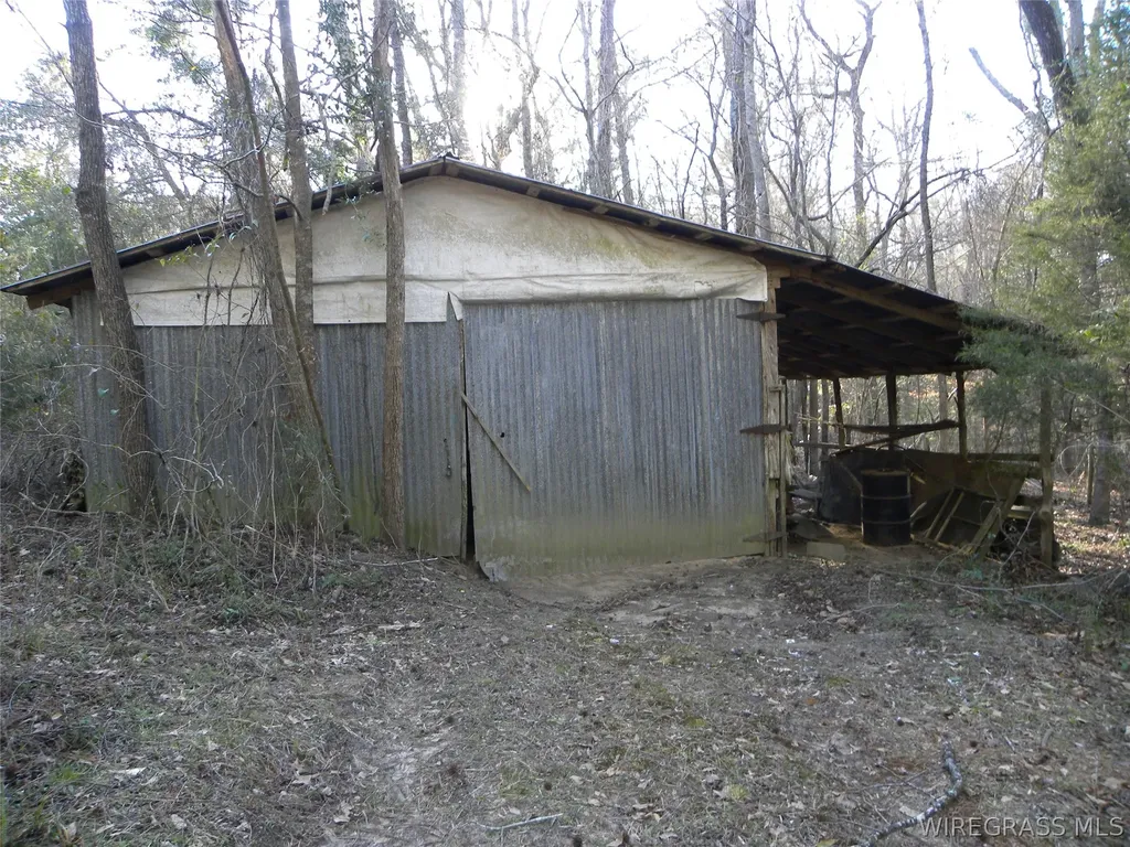 8369 County Road 54 Skipperville AL 36374