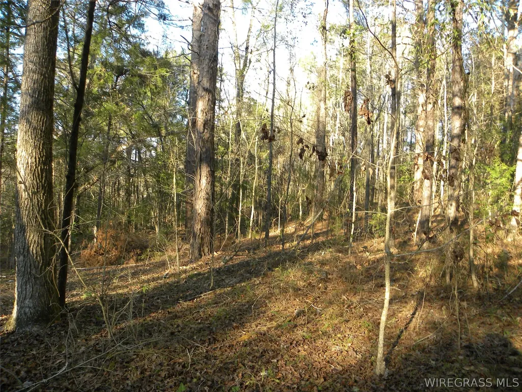 8369 County Road 54 Skipperville AL 36374