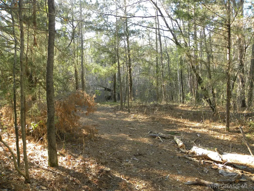 8369 County Road 54 Skipperville AL 36374