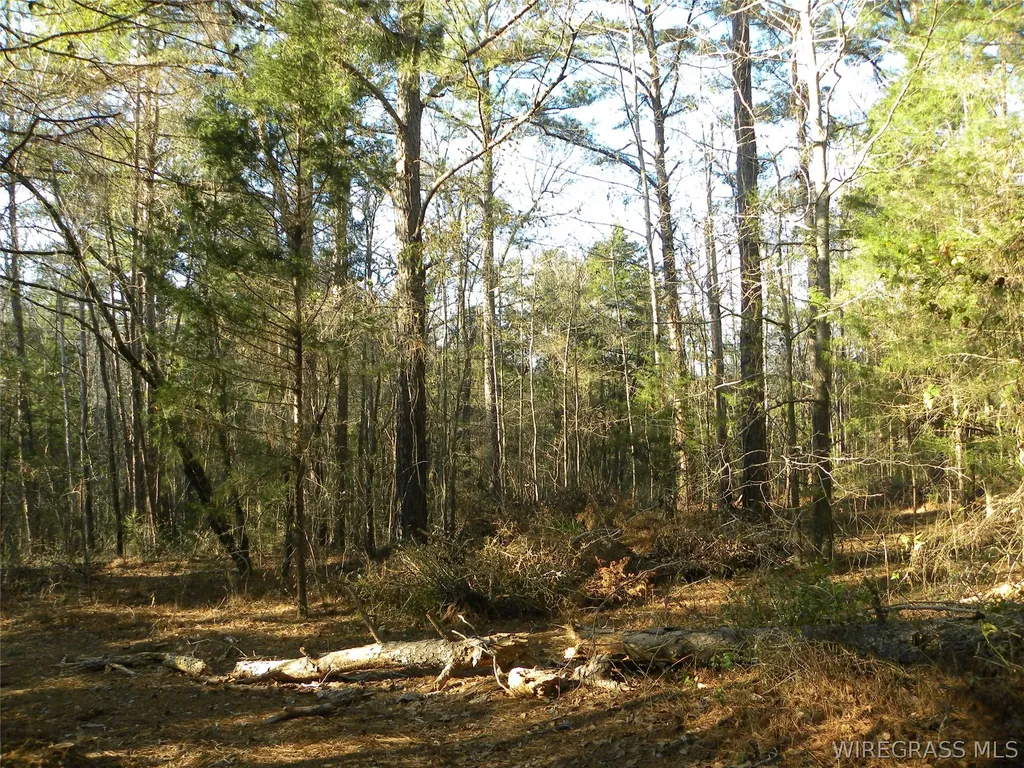 8369 County Road 54 Skipperville AL 36374