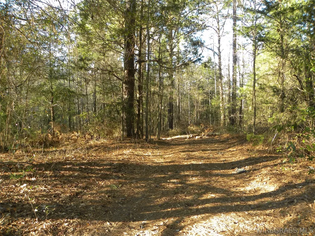 8369 County Road 54 Skipperville AL 36374