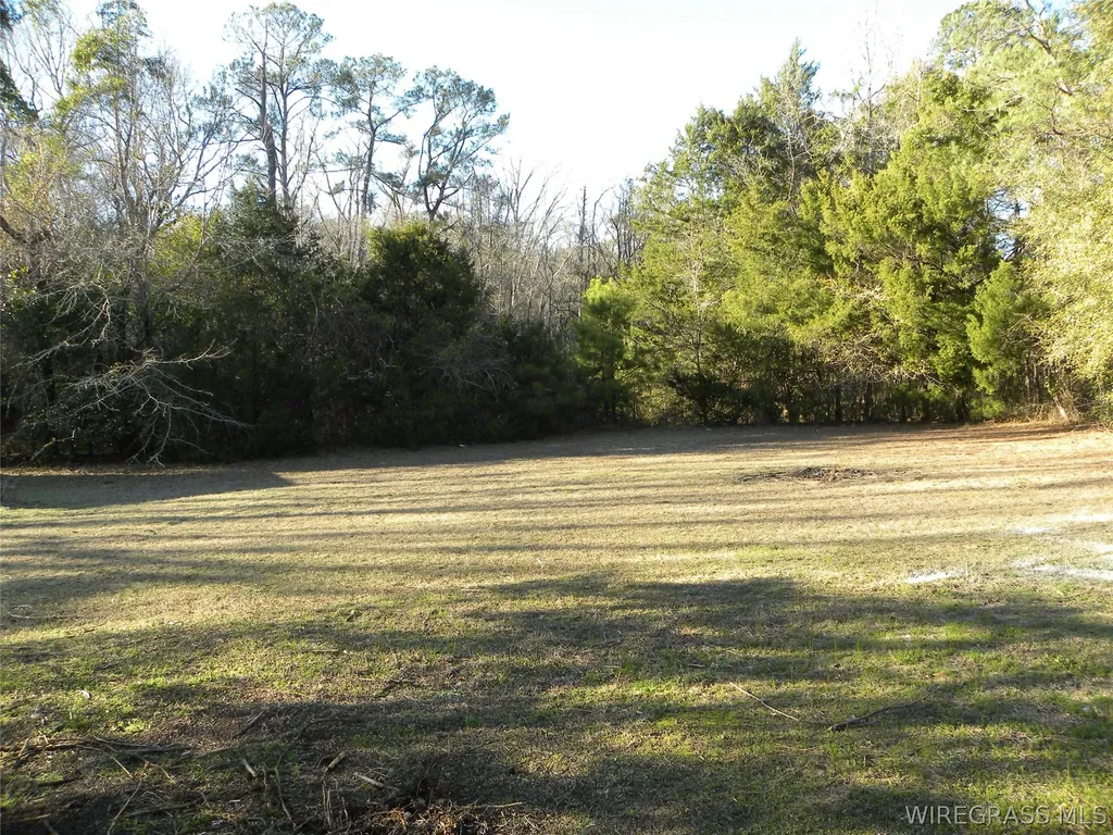 8369 County Road 54 Skipperville AL 36374