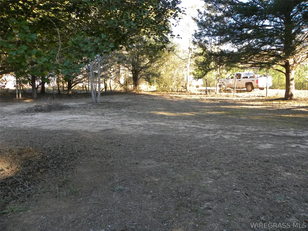 8369 County Road 54 Skipperville AL 36374