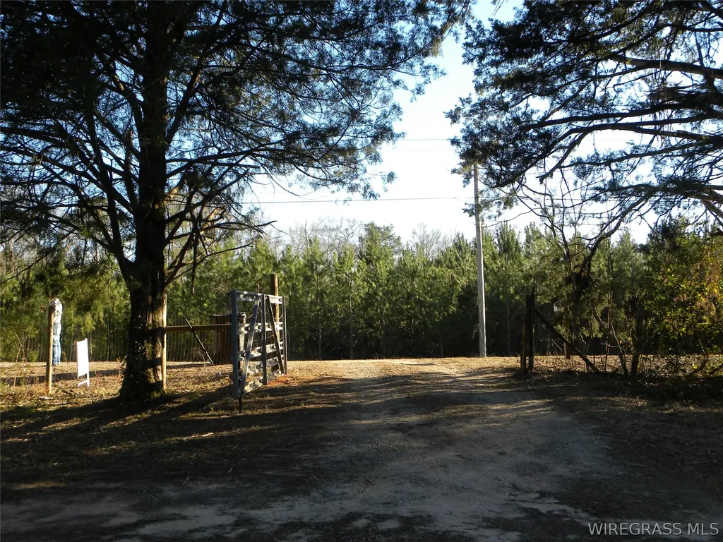 8369 County Road 54 Skipperville AL 36374