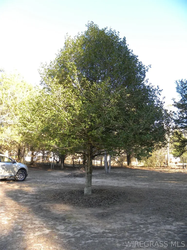 8369 County Road 54 Skipperville AL 36374