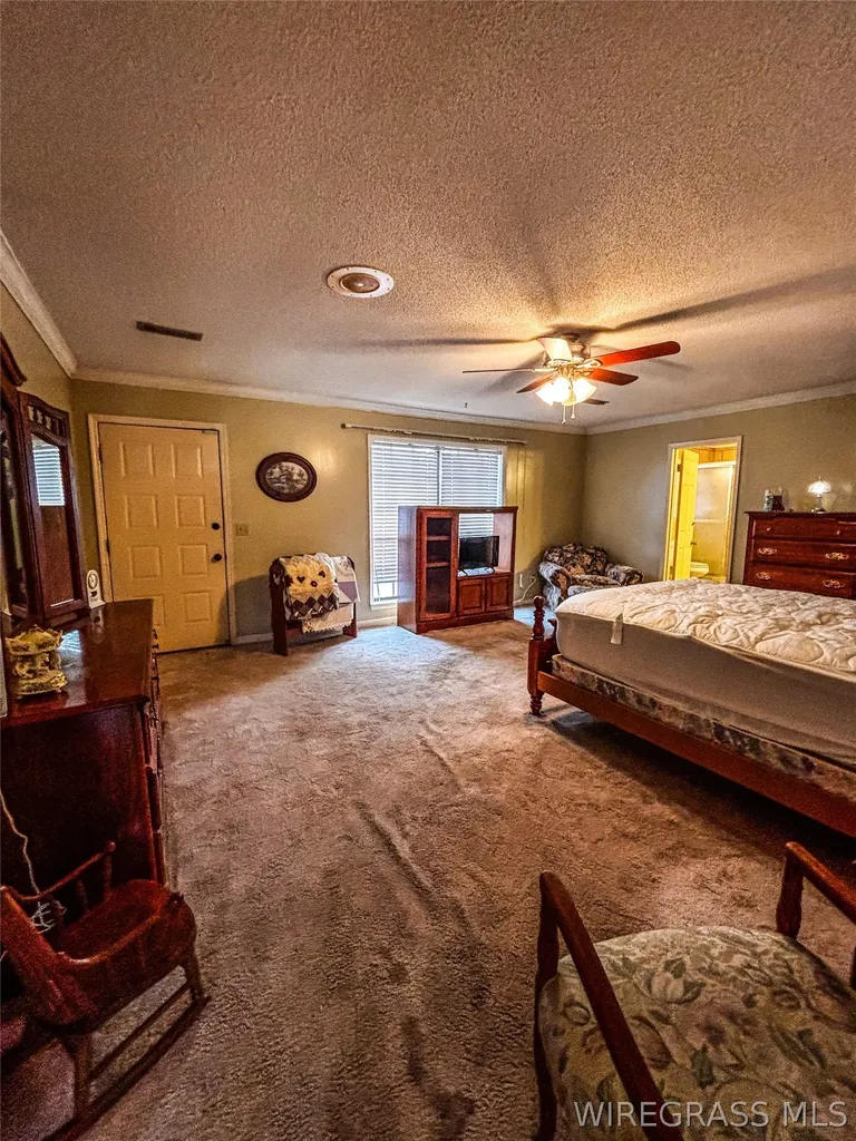 8813 State Highway 10 E AL 36373