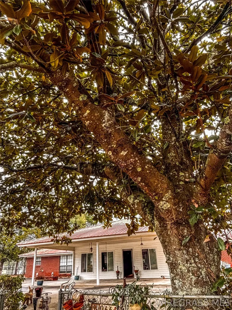 8813 State Highway 10 E AL 36373