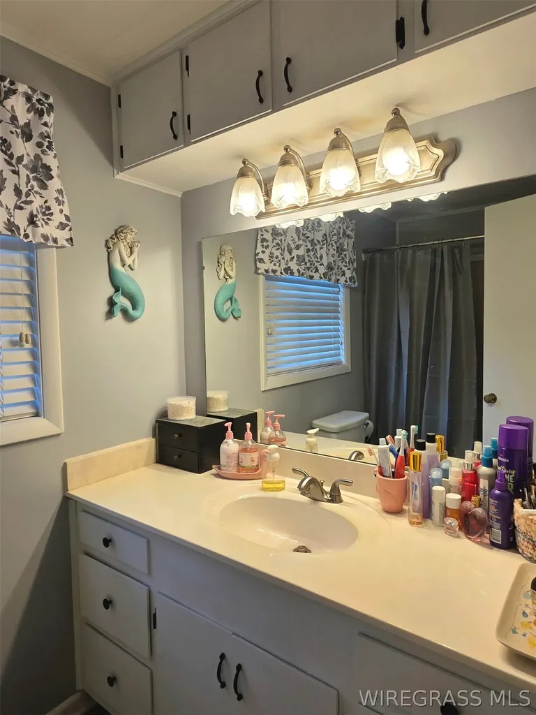 1129 Reese Avenue Elba AL 36323