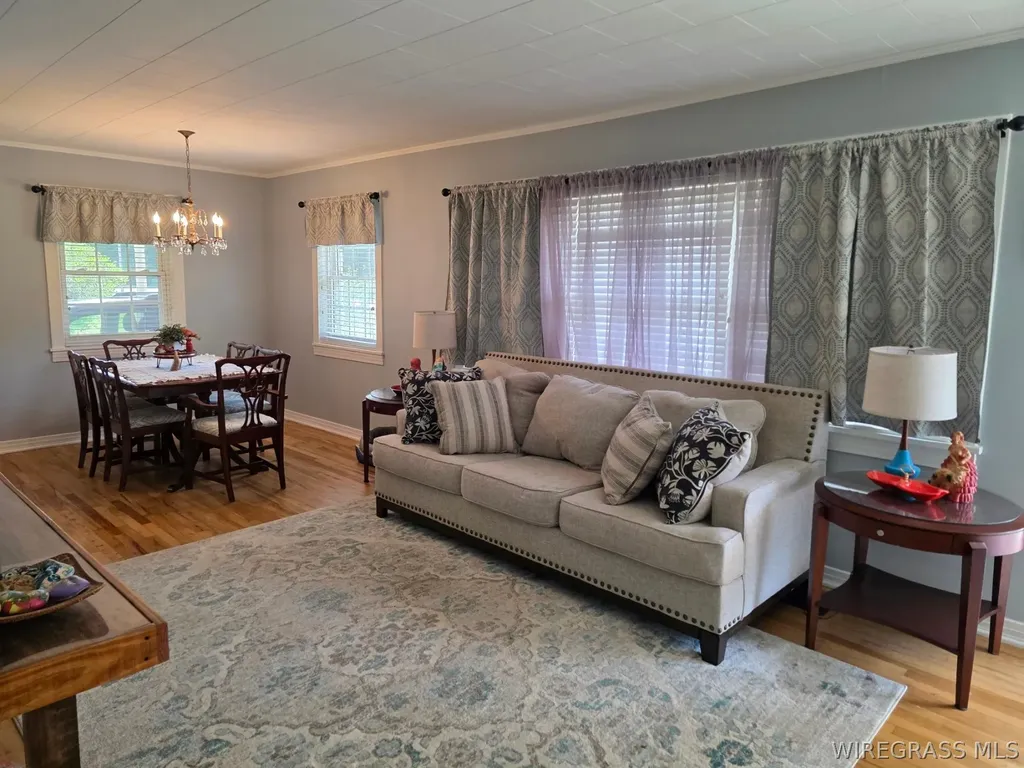 1129 Reese Avenue Elba AL 36323