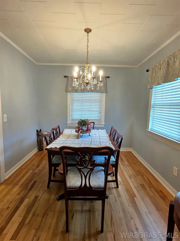 1129 Reese Avenue Elba AL 36323