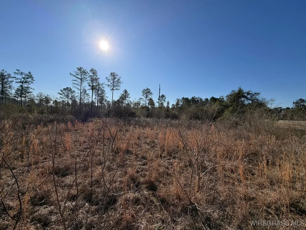 0 Highway 231 Troy AL 36079