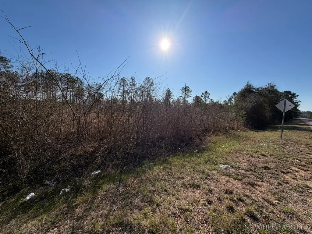 0 Highway 231 Troy AL 36079