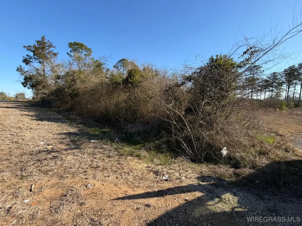 0 Highway 231 Troy AL 36079