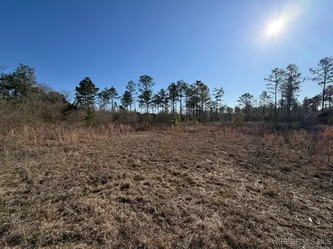0 Highway 231 Troy AL 36079