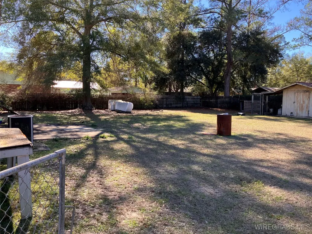 1176 Oak Avenue Elba AL 36323