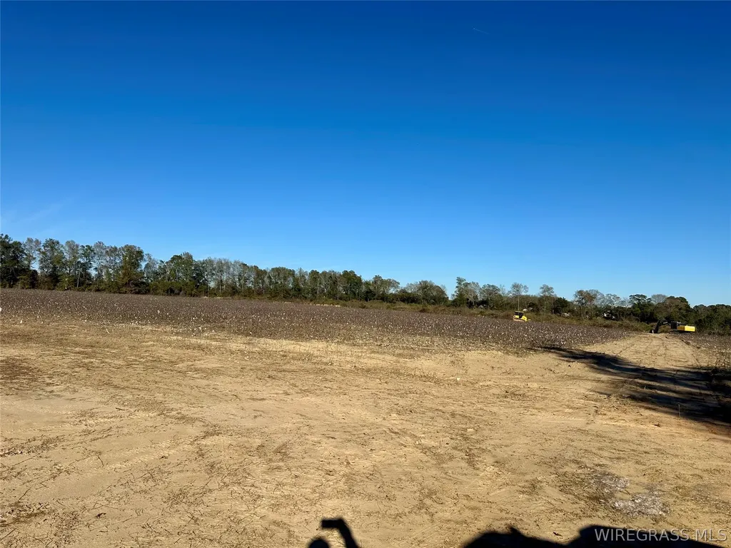 21 Windmill Road Newton AL 36352