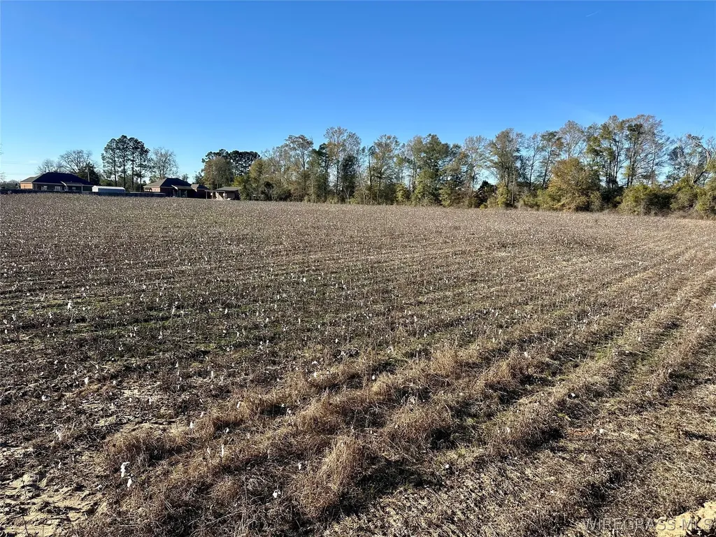 21 Windmill Road Newton AL 36352