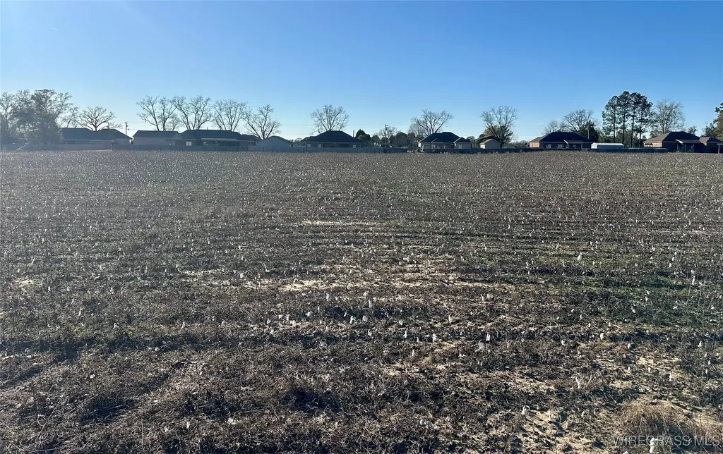 21 Windmill Road Newton AL 36352