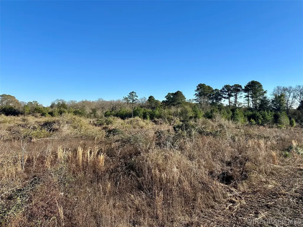 21 Windmill Road Newton AL 36352
