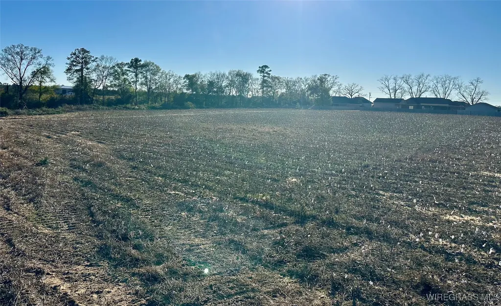 21 Windmill Road Newton AL 36352