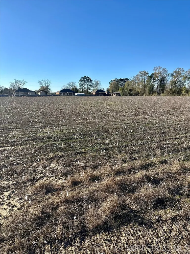 21 Windmill Road Newton AL 36352