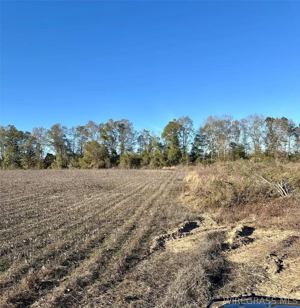 21 Windmill Road Newton AL 36352