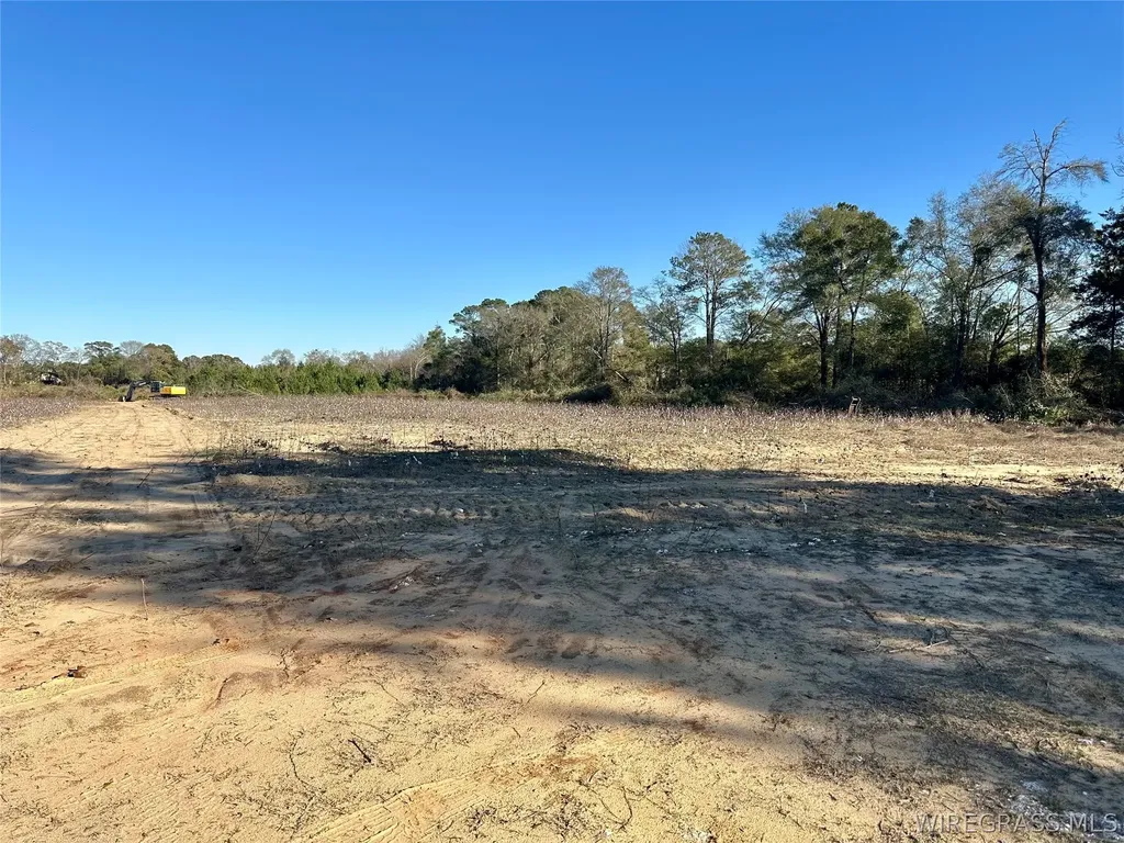 21 Windmill Road Newton AL 36352