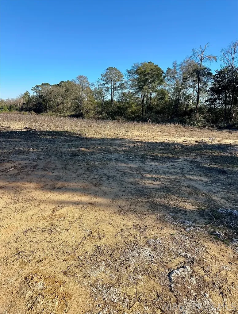 21 Windmill Road Newton AL 36352