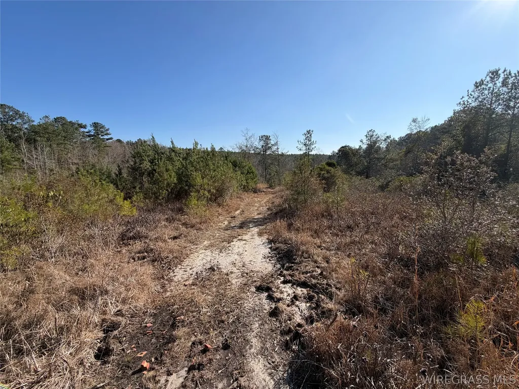 0 County Road 201 Troy AL 36079