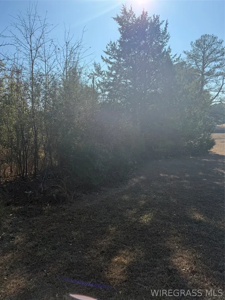 0 County Road 201 Troy AL 36079