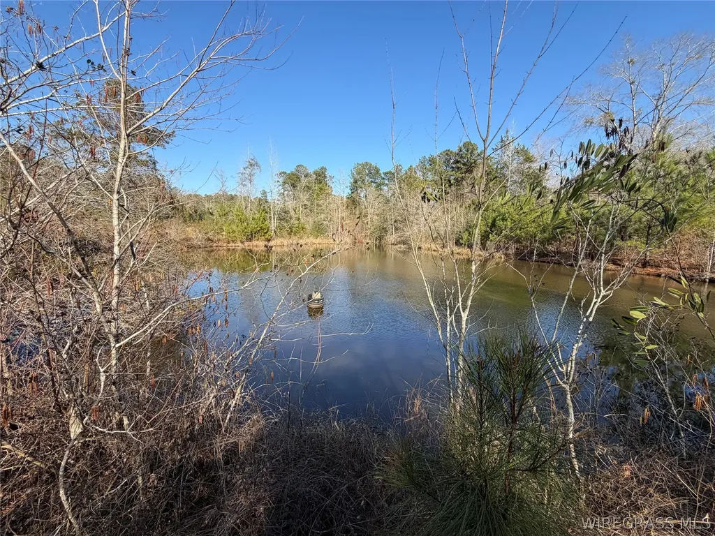 0 County Road 201 Troy AL 36079