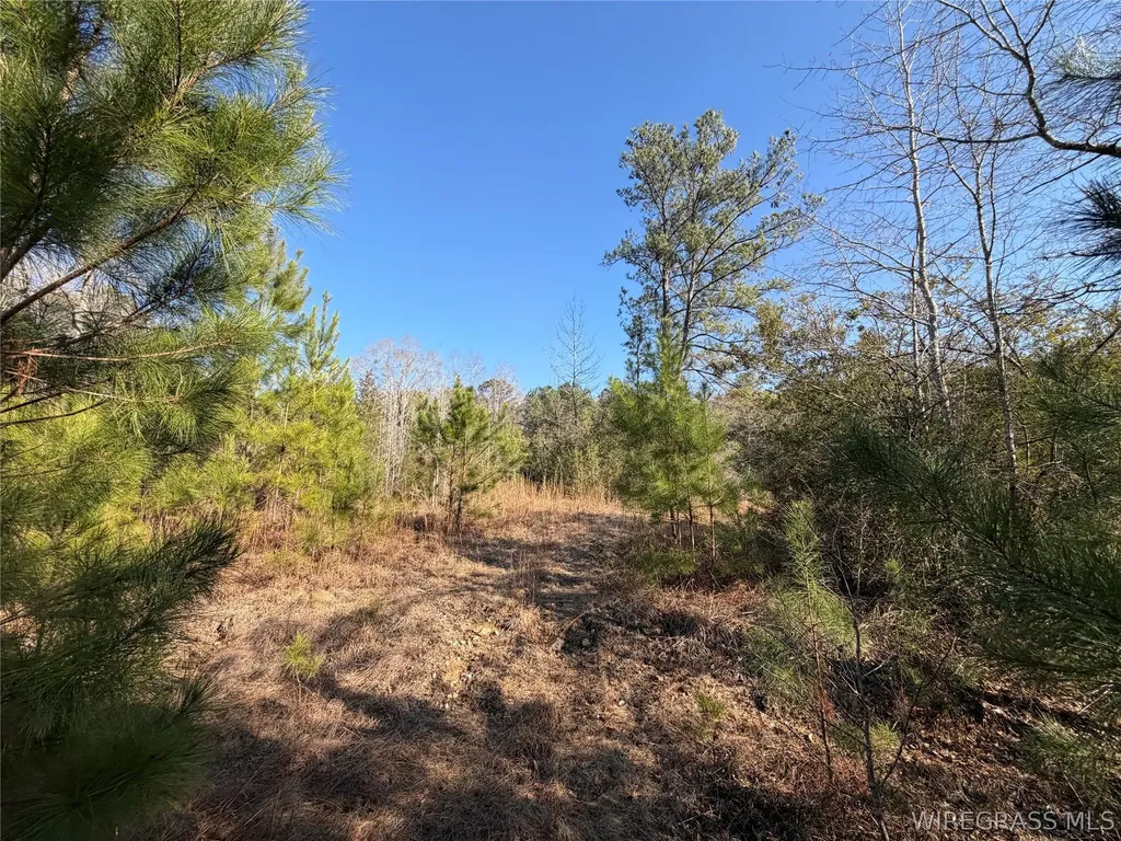 0 County Road 201 Troy AL 36079